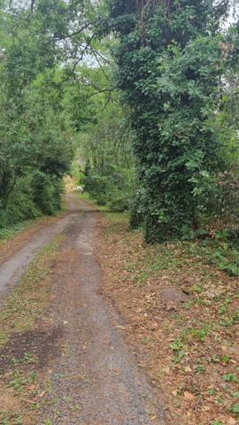 Brive la gaillarde - Proche centre ville - Terrain Constructible