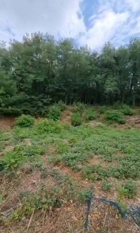 Brive la gaillarde - Proche centre ville - Terrain Constructible