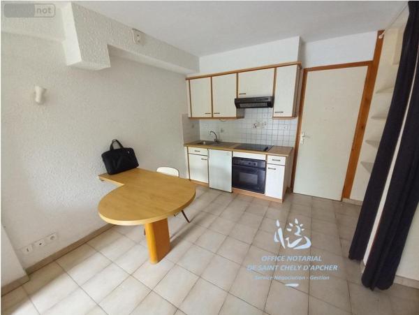 Appartement à louer à Saint-Chély-d'Apcher en Lozère (48200), ref : 48032-L20