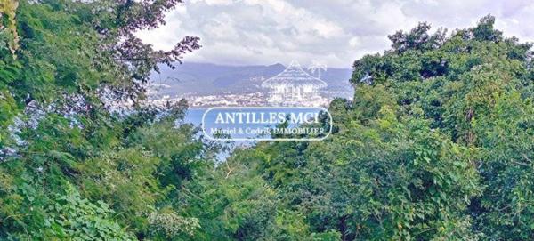 Idéal investisseurs