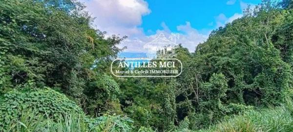 Idéal investisseurs