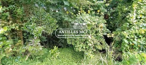 Idéal investisseurs