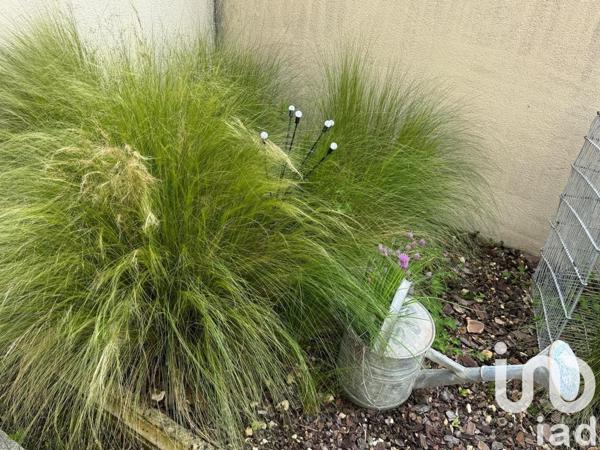 Maison 3 pièces de 74 m² à Dompierre-sur-Mer (17139)