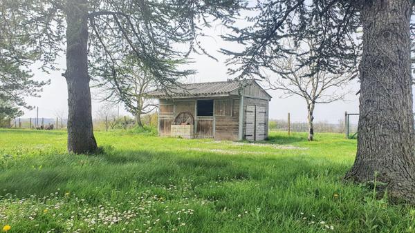Maison lumineuse avec piscine et terrain d’1 hectare proche Bergerac