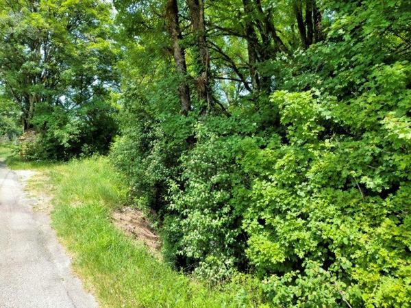 Terrain constructible boisé