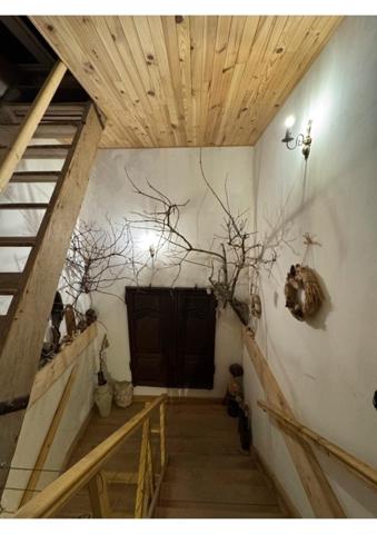 MAISON avec trois appartements - vue dégagée - sauna-spa