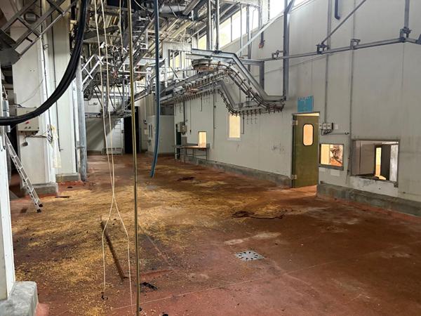 Ancien abattoir à fort potentiel de reconversion, secteur Albi Carmaux