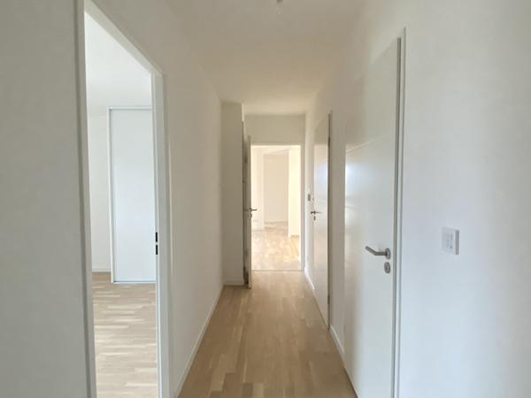 QUARTIER PROCÉ - BEAU T3 LUMINEUX