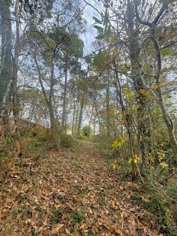 Proche Bazas - propriété 4 chambres, dépendances , 1 hectare 300 , Gironde (33) - NOUVELLE AQUITAINE