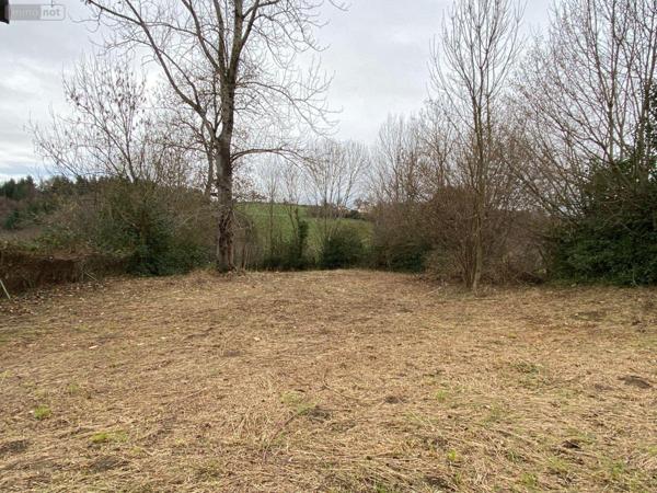 Maison à vendre à Roannes-Saint-Mary dans le Cantal (15220), ref : 15061-27