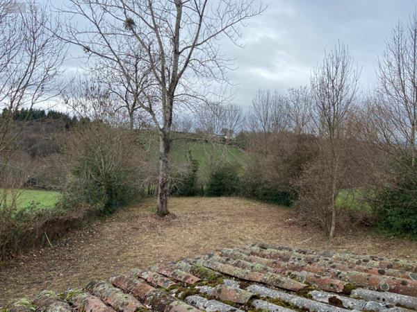 Maison à vendre à Roannes-Saint-Mary dans le Cantal (15220), ref : 15061-27