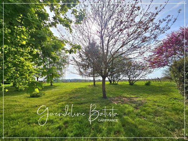 Maison en Pierre 300m² à vendre - Terrain 3495m² avec piscine - SAINT AVIT SAINT NAZAIRE (33)