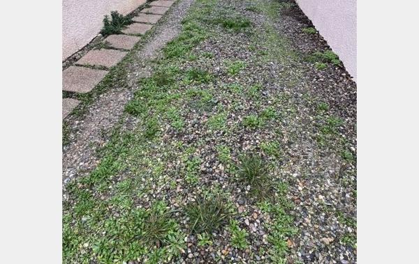 Vente Maison plain pied jardin Narbonne