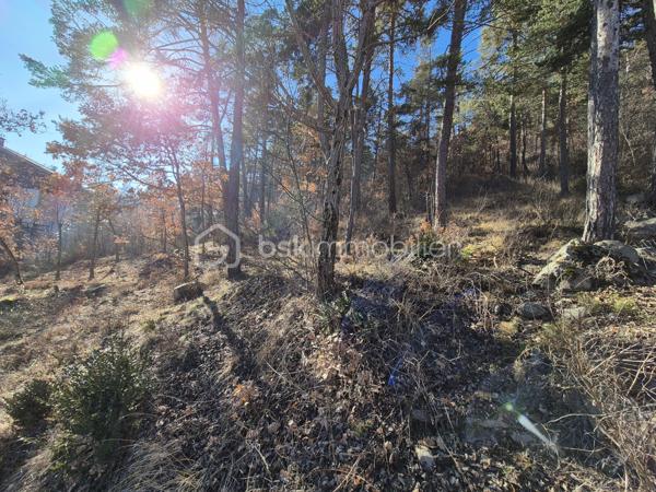 Terrain de 1 899 m²