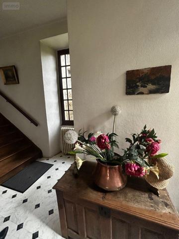 Immeuble de rapport à vendre à Pleaux dans le Cantal (15700), ref : 15060/1235