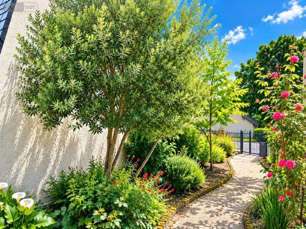 Achat - Maison Rennes 35000 6 pièces 129 m 2 364 m 2