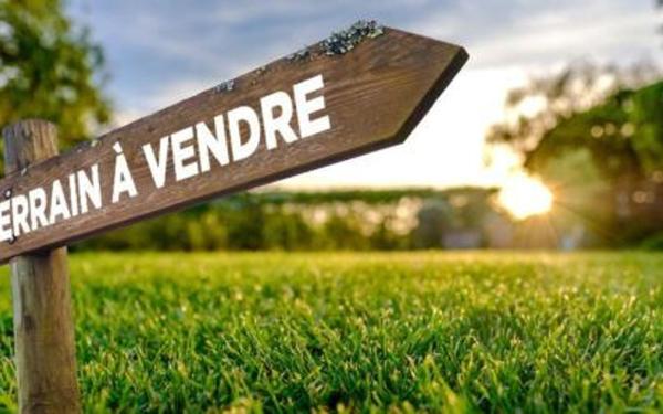 Terrain à vendre    Montfavet - Avignon