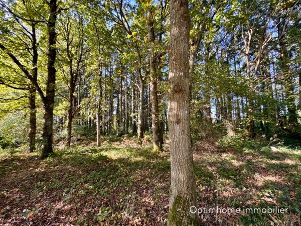 Belle maison familiale rénovée - campagne proche mer