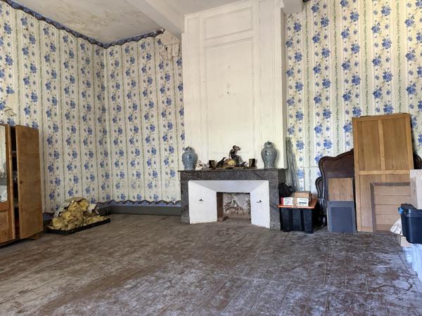 Château historique sur 19,5 hectares Condom