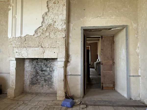 Château historique sur 19,5 hectares Condom