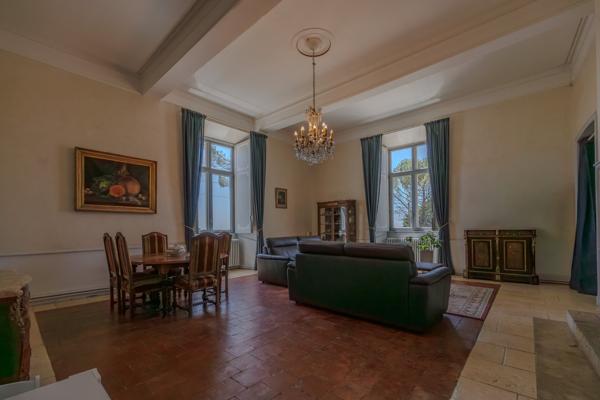 Château historique sur 19,5 hectares Condom