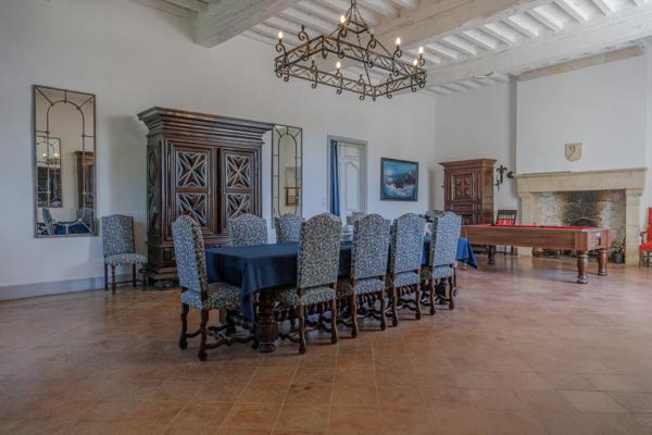 Château historique sur 19,5 hectares Condom