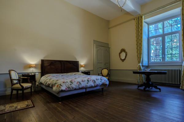 Château historique sur 19,5 hectares Condom