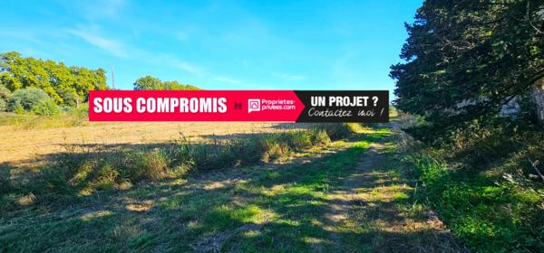 Terrains agricoles à  Elne  d'une superficie totale de 29 154 m2