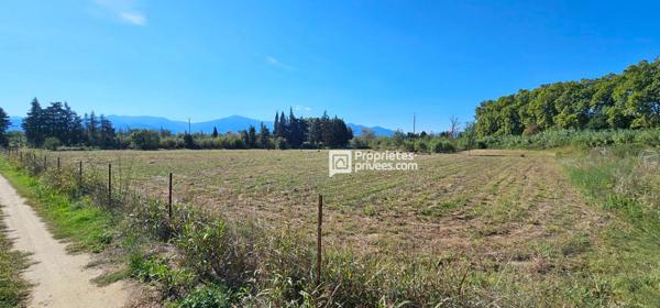 Terrains agricoles à  Elne  d'une superficie totale de 29 154 m2