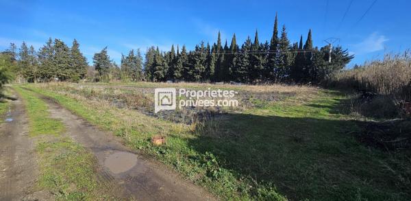 Terrains agricoles à  Elne  d'une superficie totale de 29 154 m2