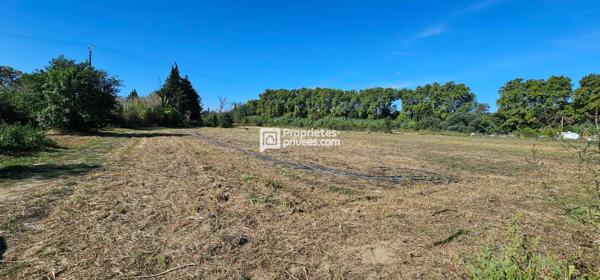 Terrains agricoles à  Elne  d'une superficie totale de 29 154 m2