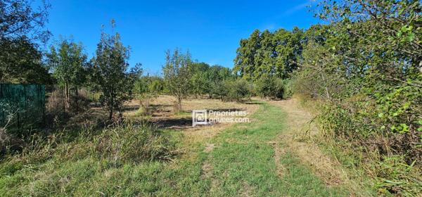 Terrains agricoles à  Elne  d'une superficie totale de 29 154 m2