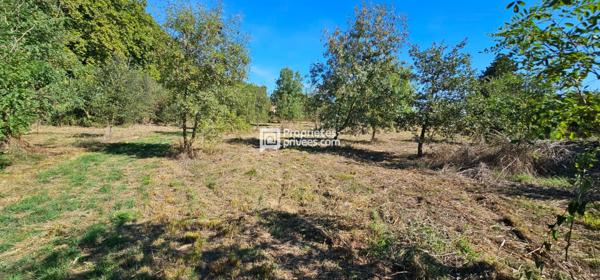 Terrains agricoles à  Elne  d'une superficie totale de 29 154 m2