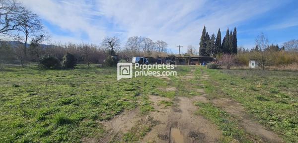 Terrains agricoles à  Elne  d'une superficie totale de 29 154 m2