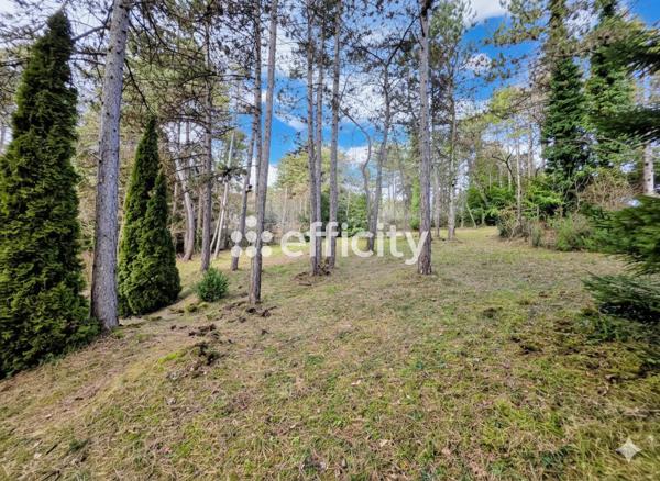 Maison 6 pièces - 131 m² Exclusivité efficity