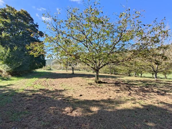 Maison en pierre de 132 m²