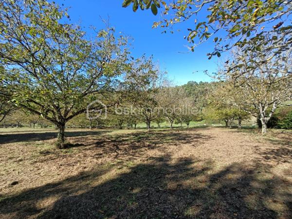 Maison en pierre de 132 m²