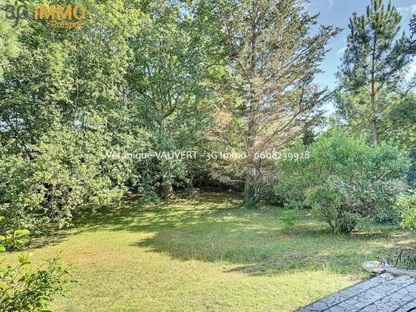 Vente / Maison et grand terrain