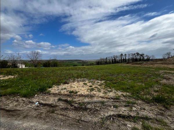 Terrain à vendre |  Laussou |  1230 m²