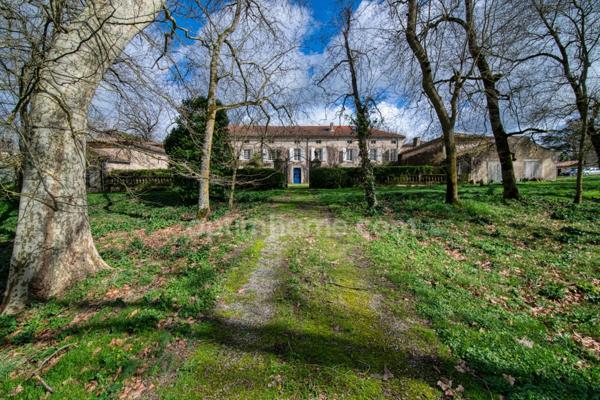 81100 - CASTRES - PROPRIÉTÉ D’EXCEPTION - PARC 5 HECTARES - 14 PIÈCES - ÉCURIE - DÉPENDANCES - PIGEONNIER