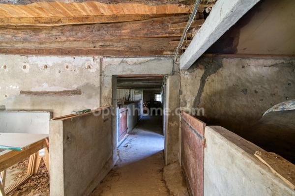 81100 - CASTRES - PROPRIÉTÉ D’EXCEPTION - PARC 5 HECTARES - 14 PIÈCES - ÉCURIE - DÉPENDANCES - PIGEONNIER