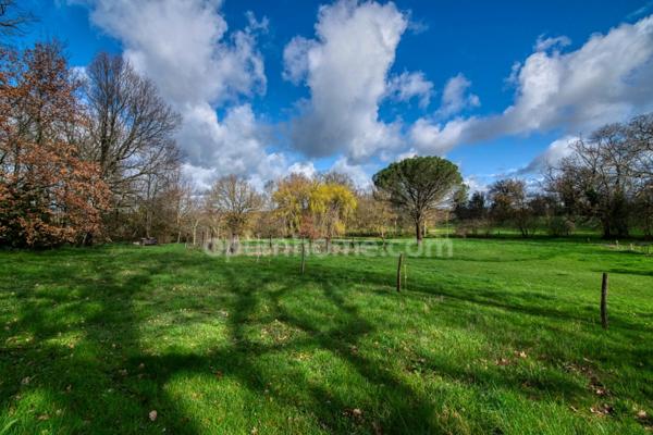 81100 - CASTRES - PROPRIÉTÉ D’EXCEPTION - PARC 5 HECTARES - 14 PIÈCES - ÉCURIE - DÉPENDANCES - PIGEONNIER