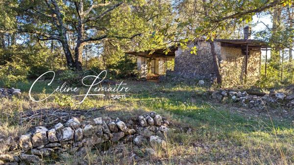 beau terrain naturel avec cabanon
