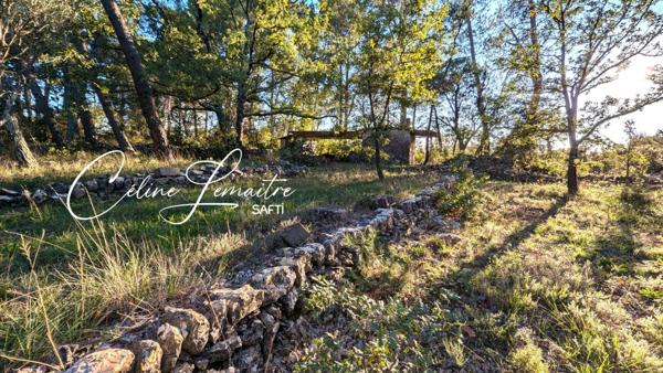 beau terrain naturel avec cabanon