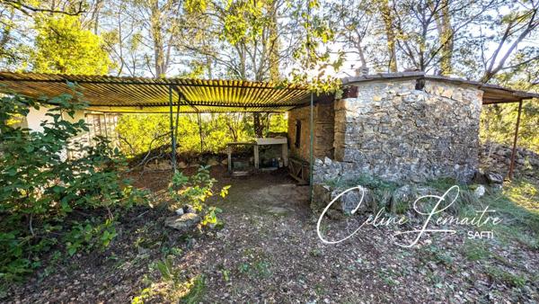 beau terrain naturel avec cabanon