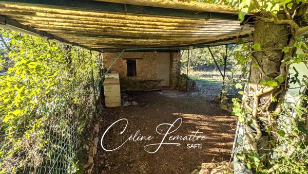 beau terrain naturel avec cabanon