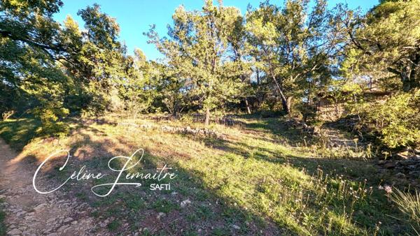 beau terrain naturel avec cabanon
