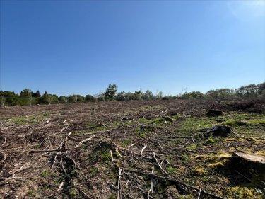 Terrain de loisirs - Bois - Etang à vendre à Plourac'h dans les Côtes-d'Armor (22160), ref : 29066-1094325