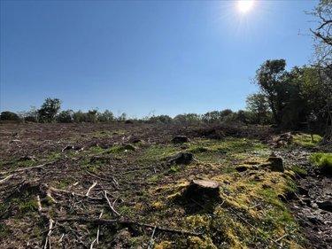 Terrain de loisirs - Bois - Etang à vendre à Plourac'h dans les Côtes-d'Armor (22160), ref : 29066-1094325