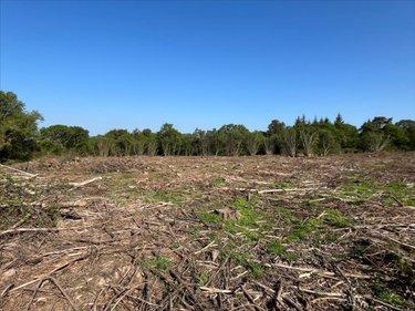 Terrain de loisirs - Bois - Etang à vendre à Plourac'h dans les Côtes-d'Armor (22160), ref : 29066-1094325